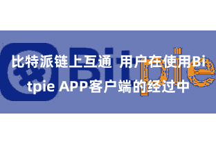 比特派链上互通  用户在使用Bitpie APP客户端的经过中